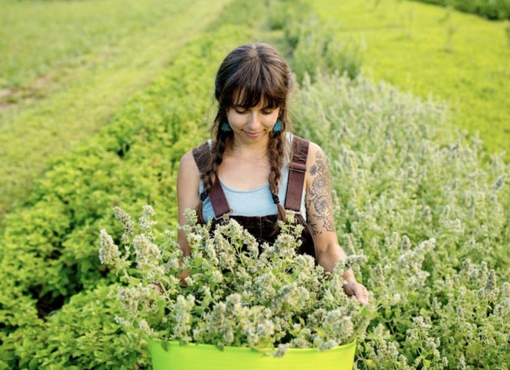Fondazioni, insieme per far crescere la filiera delle erbe officinali 2 Fondazioni insieme per far crescere la filiera delle erbe officinali