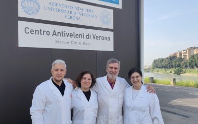 Funghi e bacche, i pericoli dell’estate