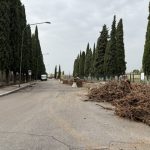 Tagliati 19 pini sani a Santa Lucia