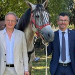 Alla Fiera di Sommacampagna il valore terapeutico del cavallo