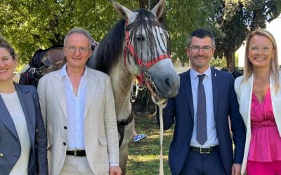 Alla Fiera di Sommacampagna il valore terapeutico del cavallo