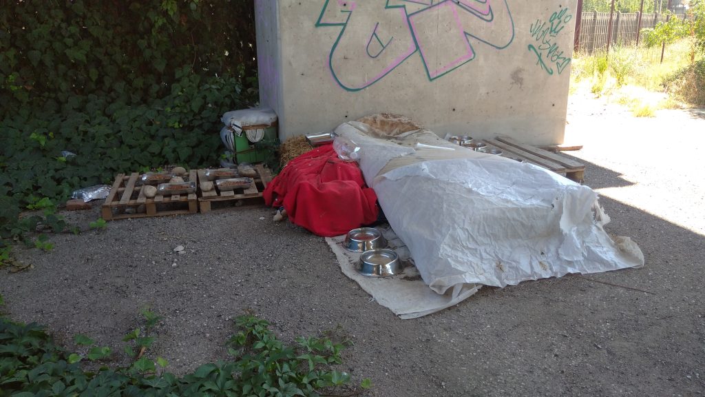 Strada di Ca’ Brusà. Uno...spazio benessere per gatti sotto il cavalcaferrovia 2 Sotto il cavalcaferrovia. 9