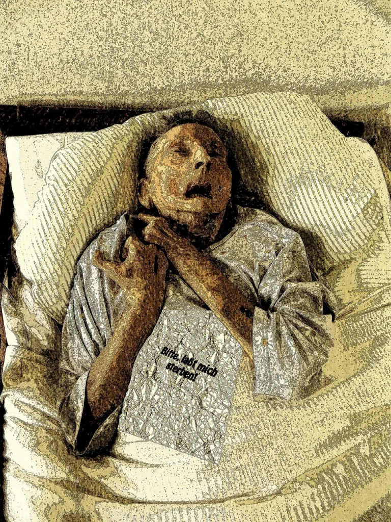 Vita, morte, coscienza e casacche di partito 2 age 993995 1280.jpg