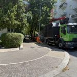 Il business del taglio degli alberi