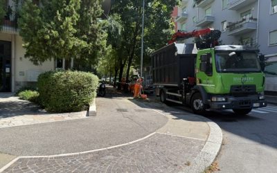 Il business del taglio degli alberi