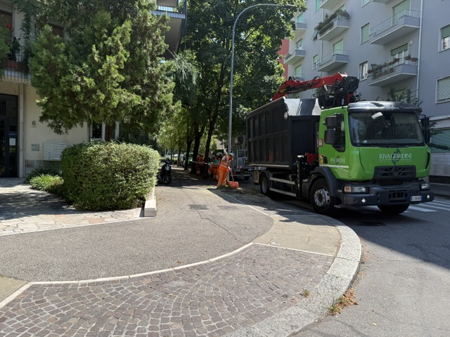 Alberi tagliati a centinaia. Sboarina o Tommasi non cambia 1 alberi copia