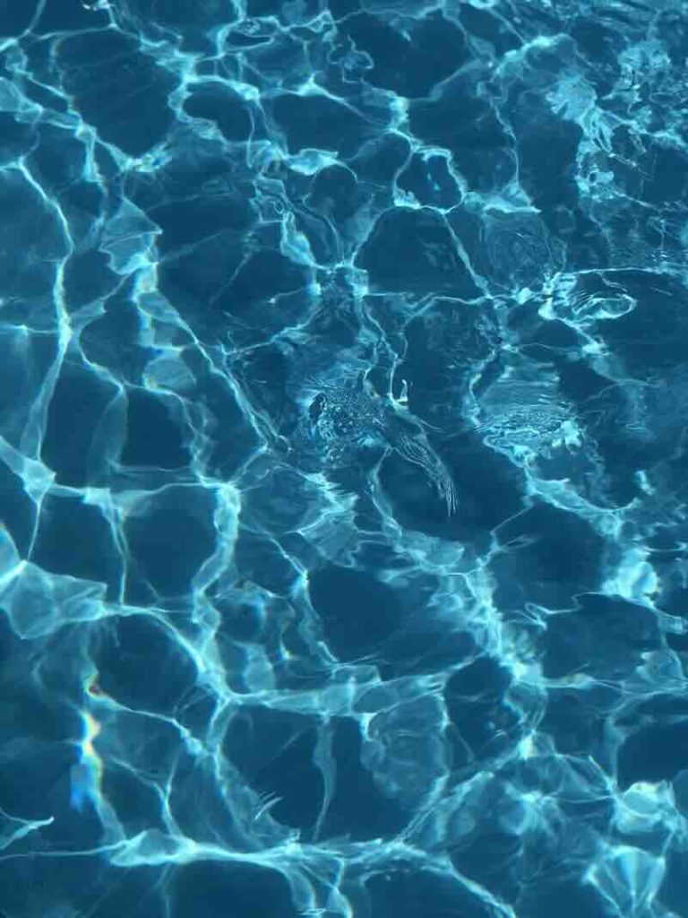 LA RISORSA ACQUA STA FINENDO 1 photo 1568145675395 66a2eda0c6d7