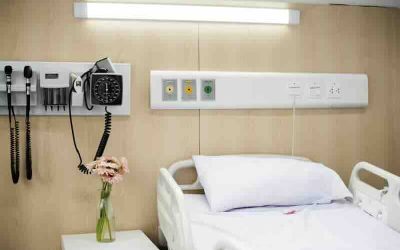 Vita, morte, coscienza e casacche di partito
