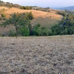 Lessinia in ginocchio per la siccità