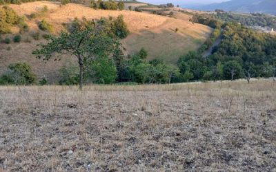 Lessinia in ginocchio per la siccità