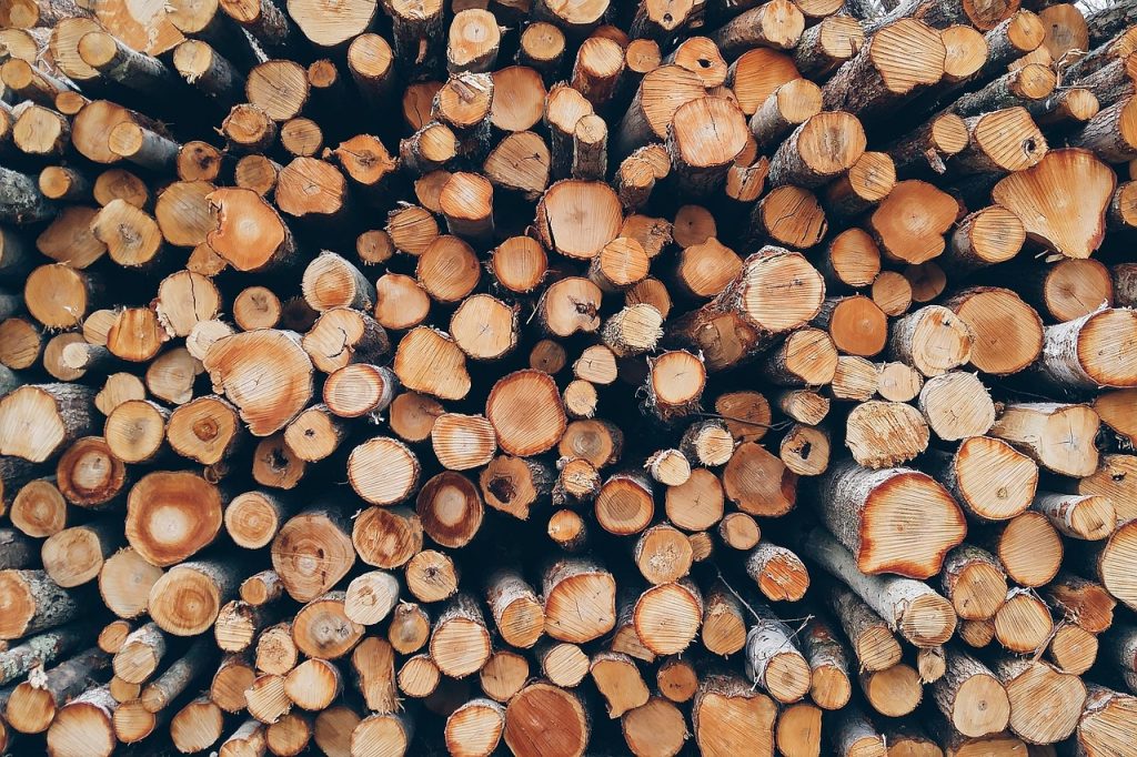 Il business del taglio degli alberi 4 wood 1868104 1280