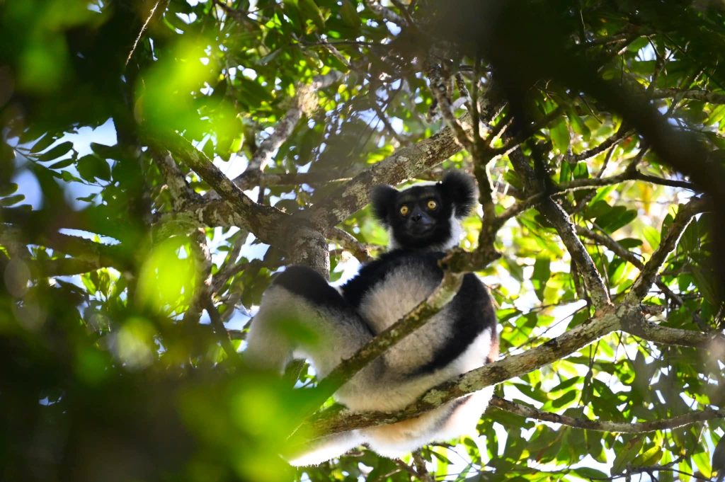 Cesare Avesani, custode della biodiversità: «La mia vita per la tutela della fauna selvatica» 2 514546618 10162904634394855 6828886370702884747 n