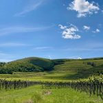 L’acqua va gestita dalla montagna alla pianura
