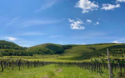 L’acqua va gestita dalla montagna alla pianura
