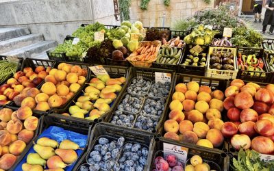 Il Chilometro Zero arriva ai piedi di Castel San Pietro