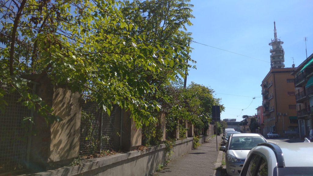 Decadenza di viale della Fiera 5 Viale della Fiera. 12