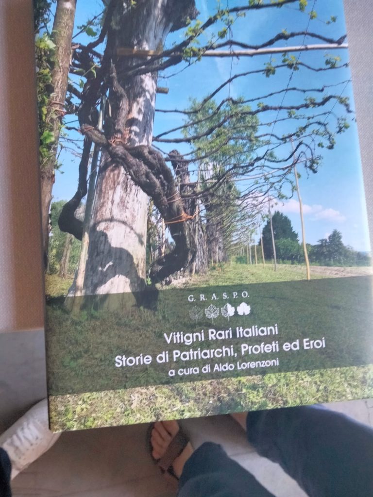 La coltivatrice biologica amica della biodiversità 2 WhatsApp Image 2026 09 14 at 11.52.47 1 1