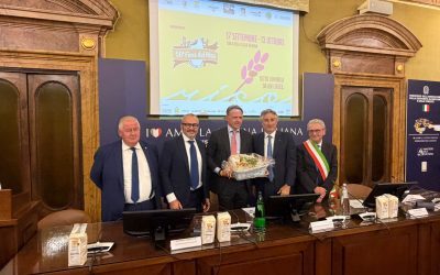 Fiera del Riso. Al via la 58ª edizione nel segno della tradizione