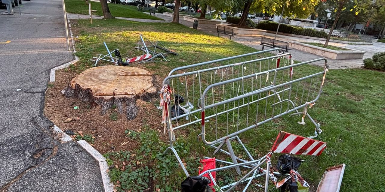 Borgo Trento: alberi abbattuti e transenne abbandonate nel degrado