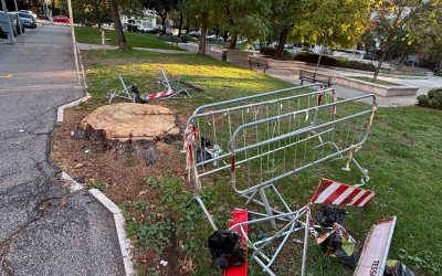 Borgo Trento: alberi abbattuti e transenne abbandonate nel degrado