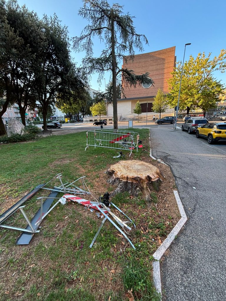 Borgo Trento: alberi abbattuti e transenne abbandonate nel degrado 1 WhatsApp Image 2026 09 15 at 10.18.06 2