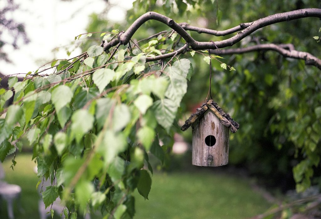 Un polmone verde in giardino 1 bird feeder 2344414 1280