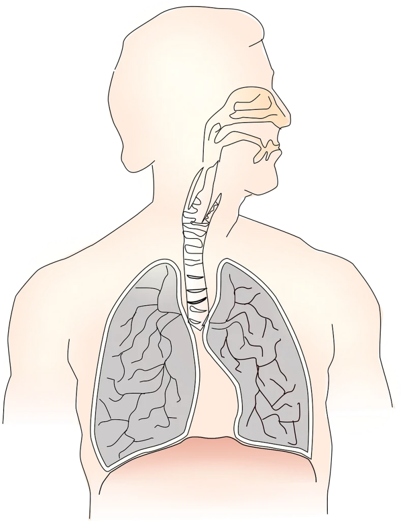 L'Europa secondo von der Leyen 2 breathing 2029614 1280.png