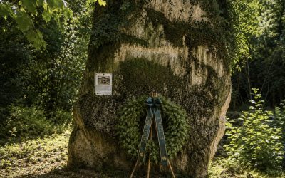 Polveriera di Avesa, la storia che chiede risposte