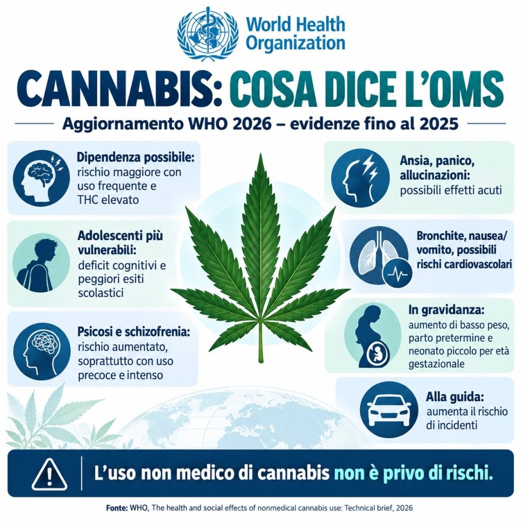 I danni della cannabis ad uso non medico. Gli ultimi aggiornamenti dell’Organizzazione Mondiale della Sanità 1 image003 2