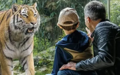 Al parco Natura Viva ingresso libero dalle 18 per tutto settembre