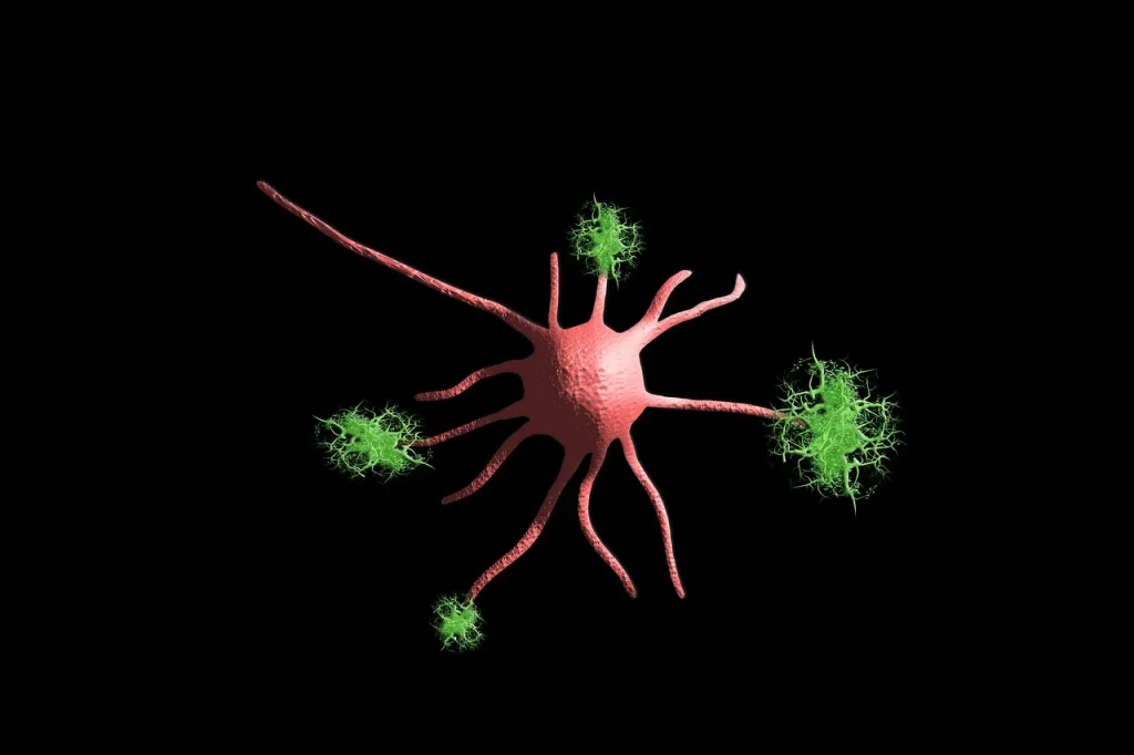 A Verona 17 centri Alzheimer per aiutare i malati e le famiglie 2 nerve cell 5901773 1280.jpg