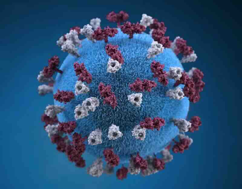 Il Morbillo torna a circolare perché non vengono rispettate le vaccinazioni 1 photo 1579781403337 de692320718a