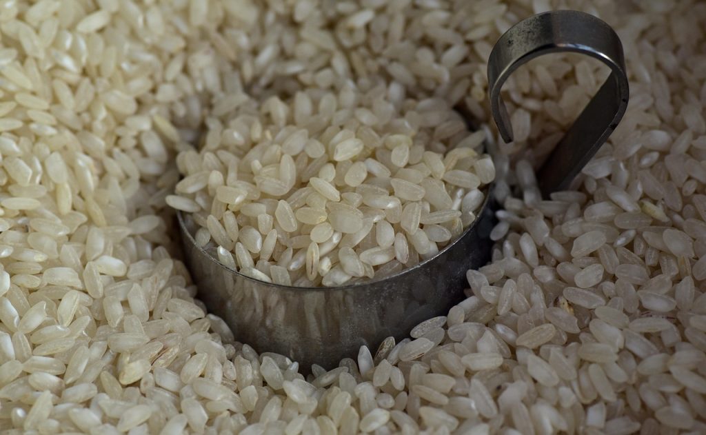 Fiera del Riso. Al via la 58ª edizione nel segno della tradizione 1 rice 3622461 1280