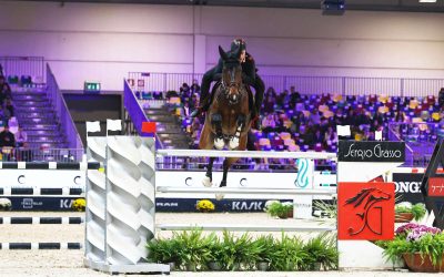 Fieracavalli, un padiglione per il benessere del cavallo