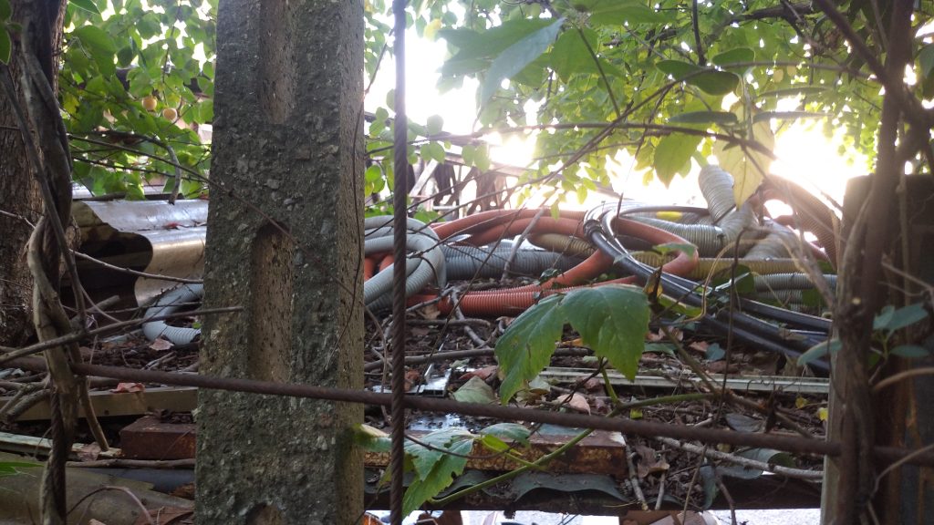 Un richiamo di sgombero di RFI disatteso da più di 5 anni 3 A lato di via Albere. 11
