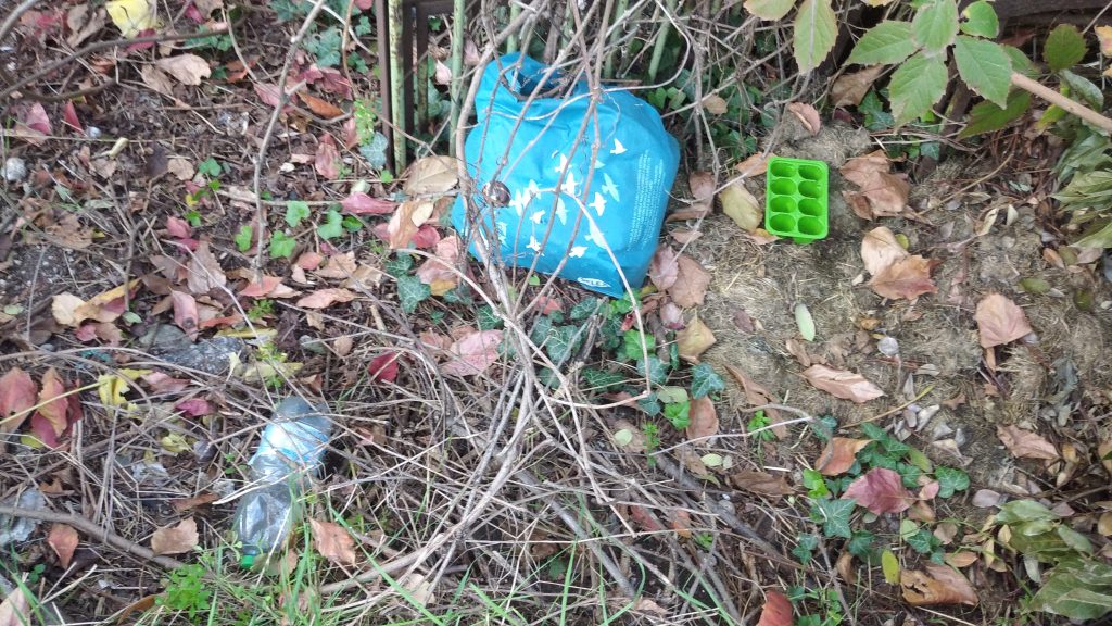 Un richiamo di sgombero di RFI disatteso da più di 5 anni 1 A lato di via Albere. 4