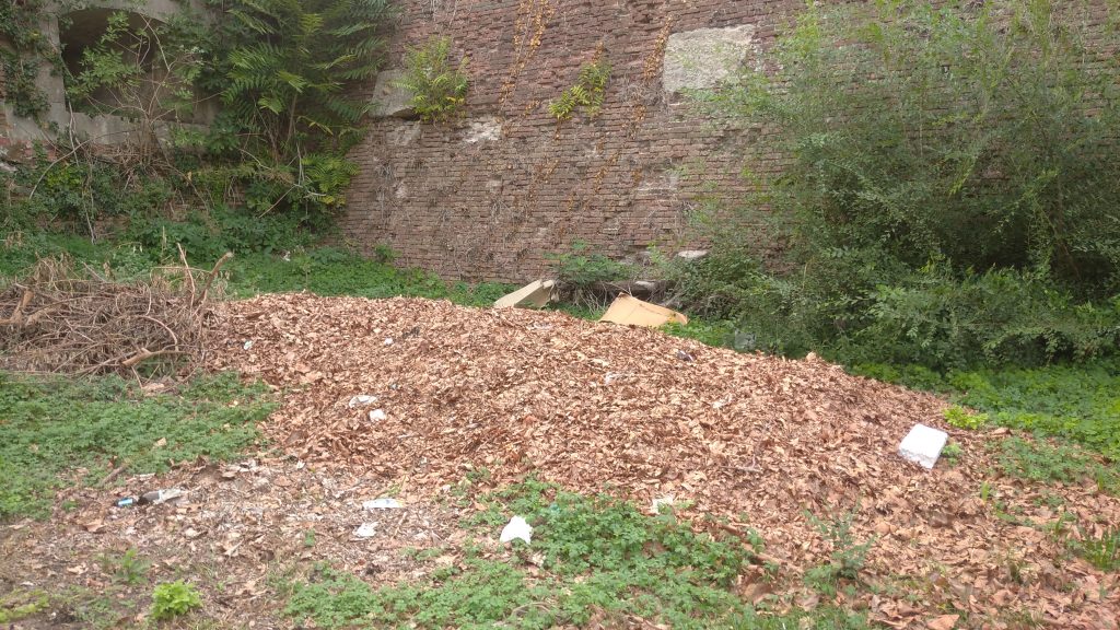 “Ospiti” sgraditi nel vallo del Bastione di Campo Marzo 3 Campofiore. 11