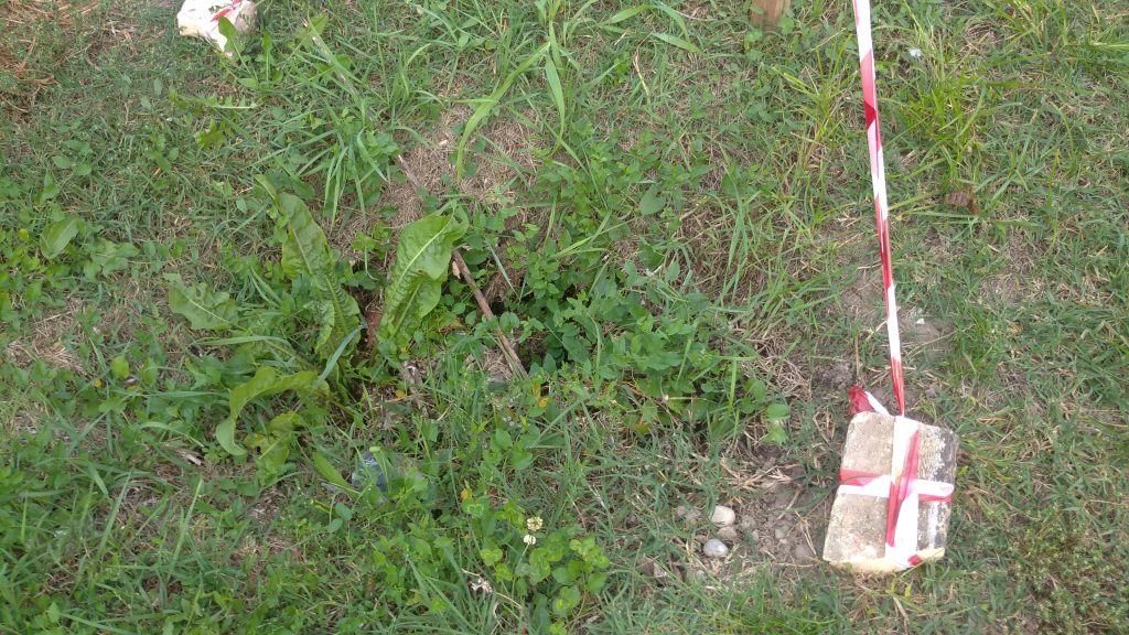 “Ospiti” sgraditi nel vallo del Bastione di Campo Marzo 6 Campofiore. 3 1