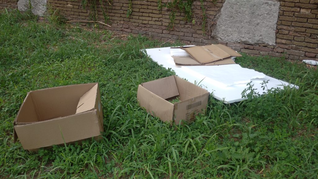 “Ospiti” sgraditi nel vallo del Bastione di Campo Marzo 1 Campofiore. 6