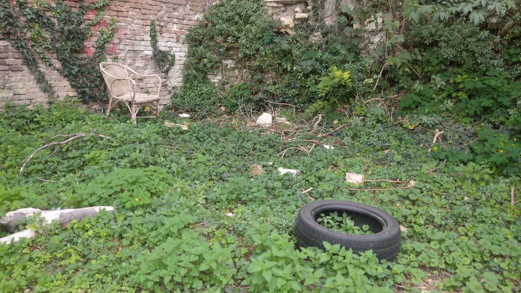 “Ospiti” sgraditi nel vallo del Bastione di Campo Marzo 2 Campofiore. 9