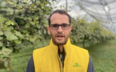 Caro gasolio, Coldiretti in piazza a Venezia: attesi centinaia di agricoltori veronesi