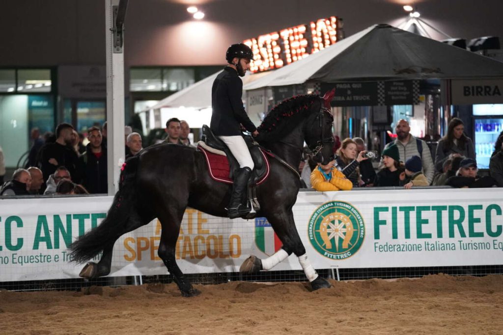 Fieracavalli, un padiglione per il benessere del cavallo 1 Fieracavalli, un padiglione per il benessere del cavallo