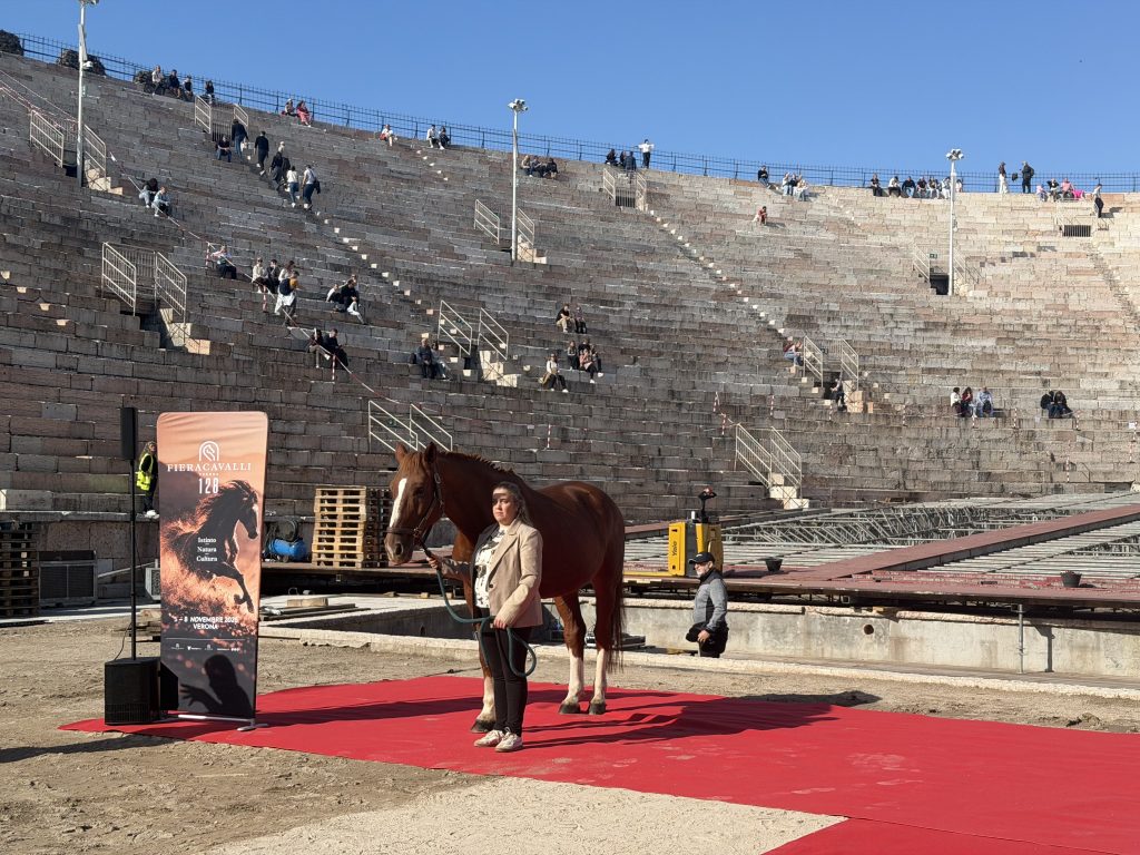 Fieracavalli, dall’Arena le novità della 128ª edizione 3 Fieracavalli, dall’Arena le novità della 128ª edizione