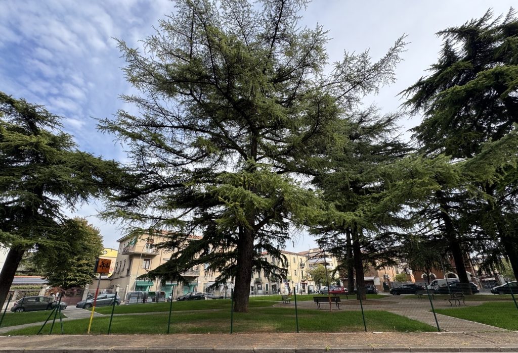 Tombetta, completata la riqualificazione delle case popolari: rinnovati 92 alloggi 3 IMG 6086