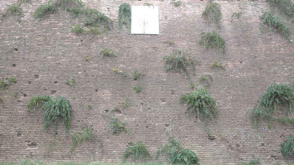 Un marmo nell’oblio che rievoca esecuzioni ad ormai fine guerra 3 Marmo rievocativo dimenticato. 11
