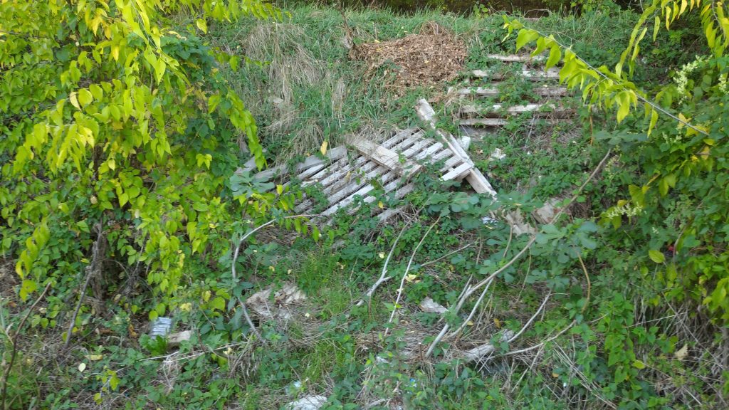 Via Casarini: margine sterrato e suo declivio in emergenza ambientale 6 Via Lorenzo Casarini. 10