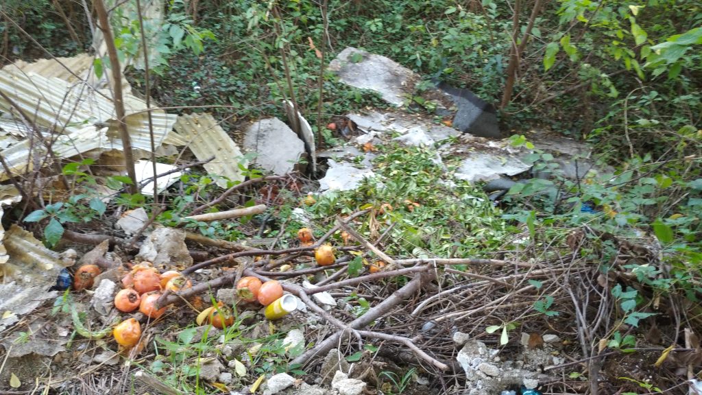 Via Casarini: margine sterrato e suo declivio in emergenza ambientale 5 Via Lorenzo Casarini. 3