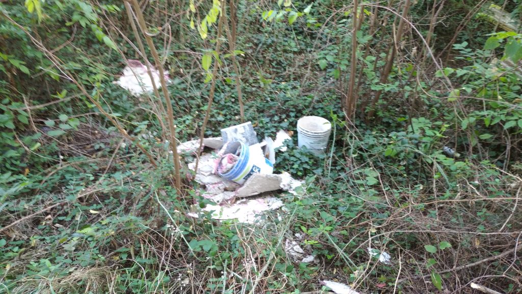 Via Casarini: margine sterrato e suo declivio in emergenza ambientale 4 Via Lorenzo Casarini. 5