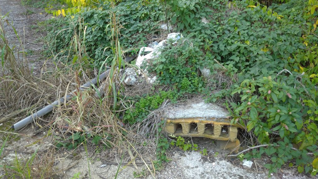 Via Casarini: margine sterrato e suo declivio in emergenza ambientale 1 Via Lorenzo Casarini. 8