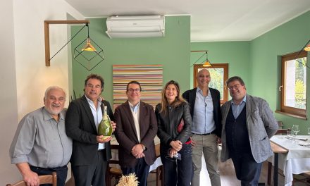 Daniele Salvagno: “Dell’oliva non si butta nulla. Vado alla conquista del mondo ma sogno oliveti anche in Lessinia”